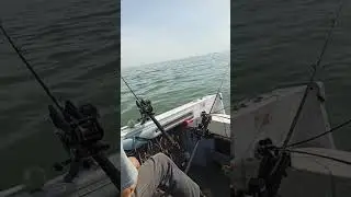 trolling for walleye, Lake Erie