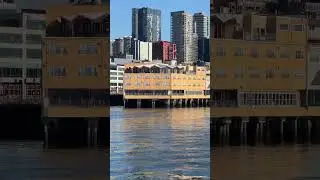 Olympic Sculpture Park, Real World Pier 70, Beatles at the Edgewater - My Trip with Salish Sea Tours