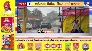 News Fatafat: ગુજરાતના મુખ્ય સમાચાર | 11-08-2025 | Gujarat | TV9Gujarati