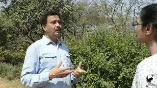 The Butterfly Man of India - Isaac Kehimkar