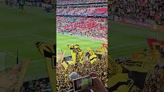 Vaya afici&oacute;n la del Dortmund !  🤯⚽ #uclfinal #Wembley #borussiadortmund
