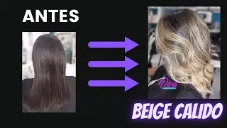 Aclaracion de 9 tonos - tecnica Foilyage