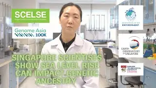 Singapore Scientists Show Sea Level Rise Can Impact Genetic Ancestry