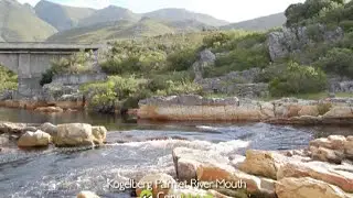 Kogelberg Nature Reserve, Palmiet River Mouth