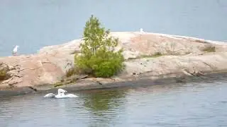 Spring time on Dollars Lake