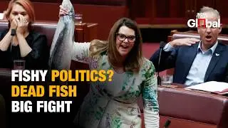 Dead Fish Drama: Australian Senator Waves Salmon | Controversial Salmon Farming Law Sparks Outrage