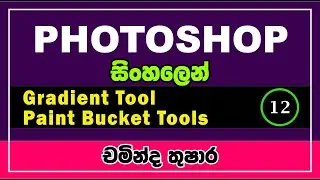 12- Adobe Photoshop || gradient Tool and Paint bucket Tool || Sinhala || IT Plus