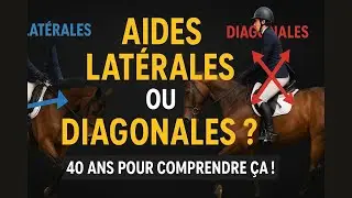 Le secret que j'ai mis 40 ans &agrave; d&eacute;couvrir (et qui va changer votre &eacute;quitation)