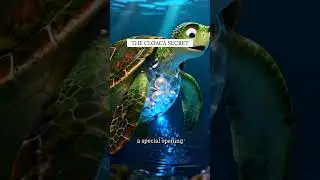 The secret breath of turtles #youtubeshorts