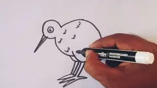 How to draw a kiwi bird / kiwi bird drawing easy step by step /bird drawing