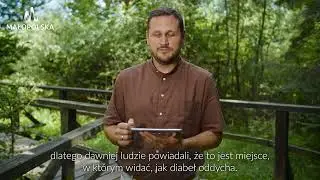 Mofeta