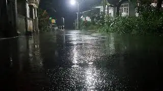 Cozy Rain Sounds for Deep Sleep 🌙 Calming Rain Noise All Night