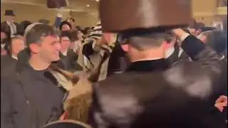 Wacky! Bringing a donkey and playing Moshiach! 