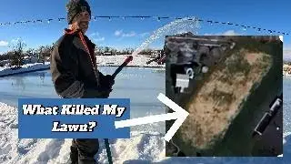 What killed my Lawn, Ice Rink Problems.