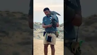 Dubai Desert Night Experience 🌙🔥🦅 | Falcon Show + Fire Show!