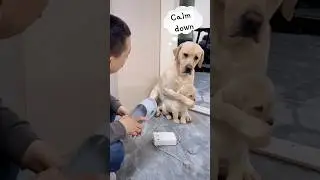❤️Mom is the one who will always protect you when you made mistakes🥰#love Angry Dad loves you too!