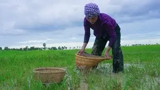 Cooking Traditional Khmer Food Recipe in my Village - Village Cooking Channel