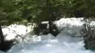 Обучение вязи ламы