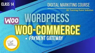 Setting Up Payment Gateway on WordPress | How to Set Payment Method in WooCommerce
