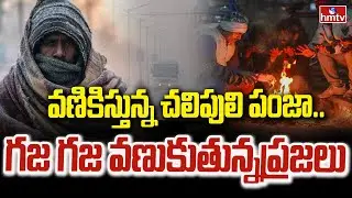 ఆదిలాబాద్ ను వణికిస్తున్న చలిపులి పంజా..గజ గజ వణుకుతున్నప్రజలు | Cold Wave Effect On Adilabad | hmtv