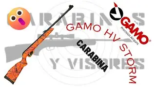 Gamo Hv Storm Carabina