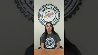 How to Apply for MVLS Free Legal Services