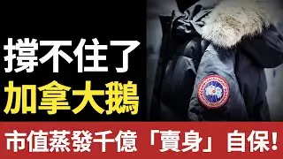 萬元羽絨衣徹底涼了？銷售大跳水至1%，遭同業圍剿，外媒：加拿大鵝只剩「賣身」一條路！#羽绒服 #Canada Goose#波司登#lululemon #moncler