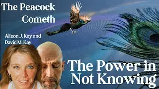 The Power In Not Knowing | The Peacock Cometh Episode 6 With Alison J. Kay and David M. Kay