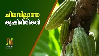 ചിലവില്ലാത്ത കൃഷിരീതി