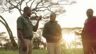 Looking Back at 2025 | Tanzania Safari, Kusini Serengeti & Walking in the Wild