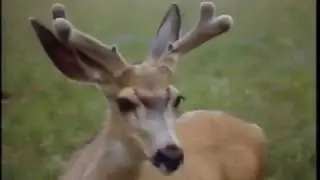 Canadian Landscape narrated by Donald Sutherland