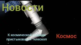 новости сфс #2