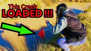 We FOUND a Creek STACKED with BLUECLAW !!!! Catch Clean Cook part 1