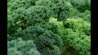 De primer plato: Chips de Kale! Súper vegetal con el que darle un giro a tus platos! :)
