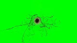 Headshot, Blood Hit Bullet - Free Green Screen Effect | Swanprincz Studio