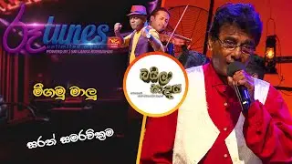 Meegamu Malu | Sarath Samarawickrama  | Baila Sadaya | මීගමු මාලු