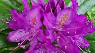 Natures changes 2#nature
