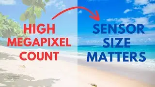 Beyond Megapixels: Choosing the Right Camera for YOU (Sensor Size, Image Processing Explained)