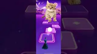 Wednesday loves cute cats/ Tiles Hop EDM Rush #shorts