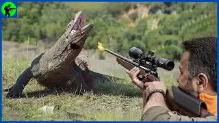 How Do Hunters On Flores Island Hunt Millions Of Komodo Dragons | Farming Documentary