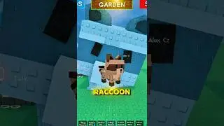 Trading Mega Raccoon 🦝  #roblox #growagarden #gaming #trading #raccoon #growagardenroblox