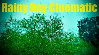 Rainy Day Cinematic 24fps Stock Footage Slow Motion Non Copyright