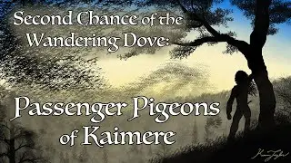 Second Chance of the Wandering Dove: Passenger Pigeons in Kaimere