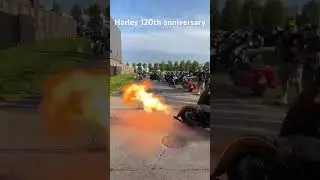 Flamethrower Bike #harleys #harleydavidson #flamethrower #motorcycle #120thHDanniversary