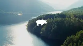 Pink Buffalo Films | Production Reel