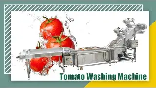 How to Wash Tomato ? Industrial Tomato Washing Machine