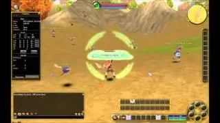 Kill Yourself on official FlyFF