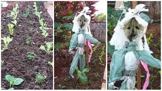 COMO FAZER UM ESPANTALHO PRA HORTA COM SACOLA E FIO