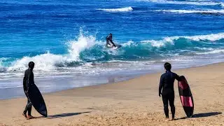 福岡スキムボーダー2026.1.14志賀島先端スキム#skimboard #skimboards #skimboarding #スキムボード#福岡スキムボーダー#エビススキムボード