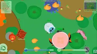 Mini Frost Wolf... BEES!  Golden Devil Goat.  Aqua Yeti kills Dragon.  Mope.io